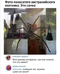 Screenshot_20211026_081045.webp