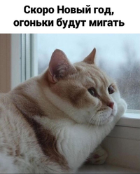 41CBDCC0-B65A-46EE-9D33-548F3439036B.webp