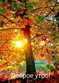 IMG-20211026-WA0003.webp