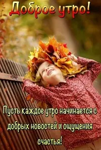 08cfe1141f4d877cfbef44462d6825c5.webp