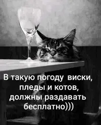 5559968b3acb263211403e026daf5366.webp