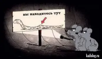 1383131876_049.webp