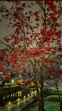 20211027_235615_copy_539x959.webp