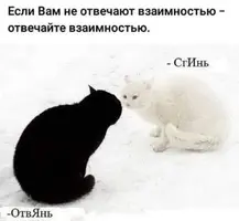 1D5F4441-D27F-4968-896D-F86BAB5C4CE3.webp