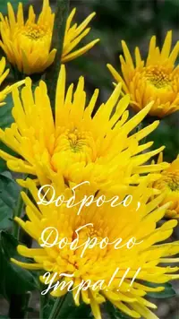 F8A4C9B9-DADC-4055-8588-DB07BB99C83B.webp