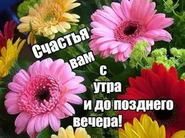 IMG-20211028-WA0000.webp