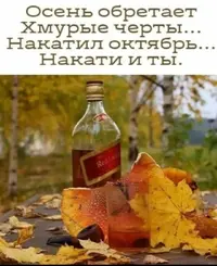 onoff69_20211028_1.webp