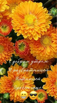 B0A9B937-F65D-4765-B8D7-EBDB25A1A2E6.webp