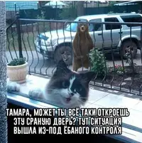 1594571454178986014.webp