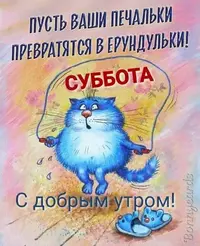 FB_IMG_1634973421725.webp