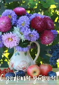 6F50092A-C809-4D49-A2A5-86FD22FDE4C5.webp