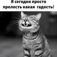 IMG_20211029_154249_769.webp