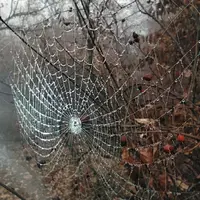 04cK6mSgULg.webp