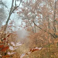 X19zOGVo62M.webp
