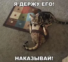 52d79e5b462da2ac8f3c6d2da9a82466.webp