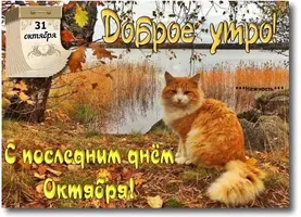 IMG-20211031-WA0005.webp