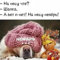 IMG-20211031-WA0000.webp