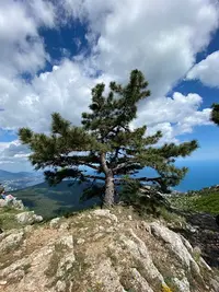 B84907DF-F41C-458B-8107-43FC5ACFDEC3.webp