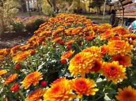 20211031_140402.webp