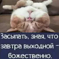Screenshot_20211030_204858.webp