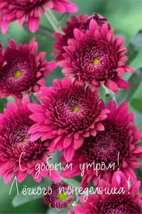 0362AB28-1C48-4B57-9E67-DD529B5A38BC.webp