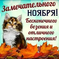 FB_IMG_1635752791842.webp