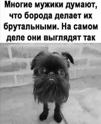 Screenshot_20211101_205339.webp