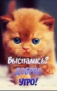 c5784113af5df3507661a5da2be5665c.webp