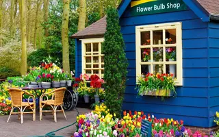 country-flower-shop-227682.webp