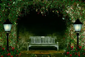 night_garden_premade_background_by_susanads_stocks-d5s5yrc.webp