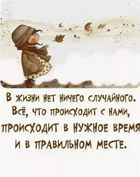 Screenshot_20200922-113329_Yandex.webp