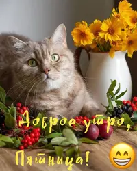 FD4A1B31-1C27-4766-94F2-E75501EA2C62.webp