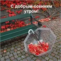 5f82da77a86988cf7d3a9f5356afe89d.webp