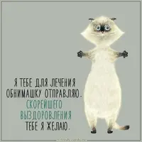 4580b65c0923f4a02c77970b3fe97675.webp