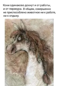 bdf61ca2cd9773626b53f61dd1b03da3.webp