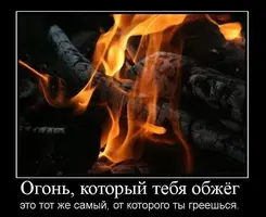 u_787035e0684fc1db1e2275ef646d33f2_800-e1566297818286.webp