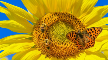 Screenshot_20211105-214635_Chrome.webp