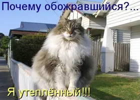 8593559D-FE0C-498E-9F90-3CD0DD0DBDC9.webp