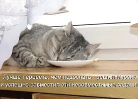 D19C2935-C20D-450B-AF19-4B7340412C51.webp
