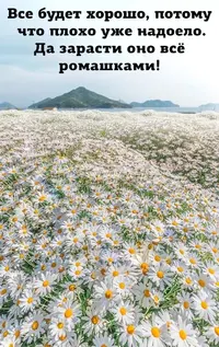IovbAJjCB0Y.webp