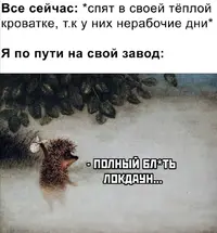 Screenshot_20211104_183031.webp