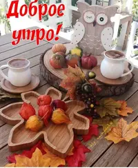 IMG-20211024-WA0015.webp