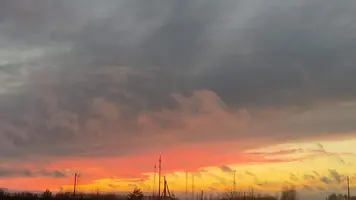 0_IMG20211106164740.webp