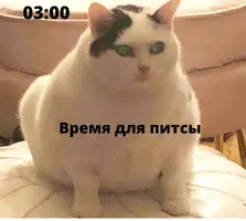 -5449622567691334725_120.webp