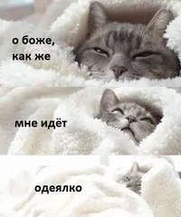 37ab939545309975c9ab1fe77b8e144f.webp