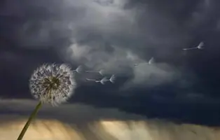calm-before-storm-1.webp