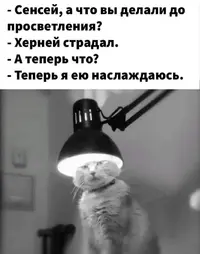 B1BADB8B-697B-4AE9-B7F0-7D091339EFC1.webp