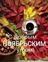 IMG-20211108-WA0002.webp
