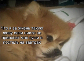 7A4F3D38-D87A-4E52-9893-5EBD29A0965D.webp