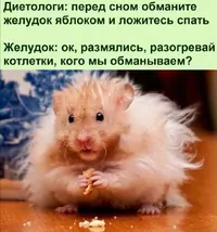 Screenshot_20211108_091327.webp